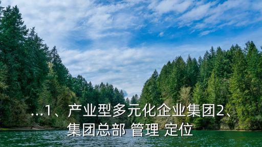 ...1、產(chǎn)業(yè)型多元化企業(yè)集團(tuán)2、集團(tuán)總部 管理 定位