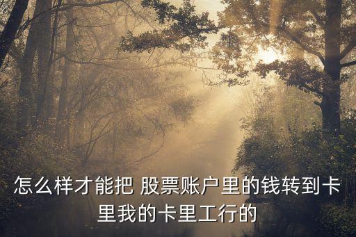 怎么樣才能把 股票賬戶(hù)里的錢(qián)轉(zhuǎn)到卡里我的卡里工行的