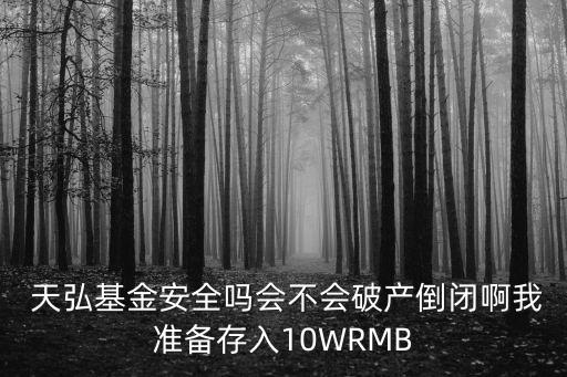  天弘基金安全嗎會不會破產(chǎn)倒閉啊我準備存入10WRMB