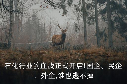 石化行業(yè)的血戰(zhàn)正式開啟!國企、民企、外企,誰也逃不掉