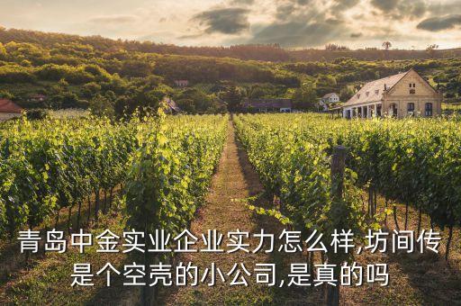 青島中金實業(yè)企業(yè)實力怎么樣,坊間傳是個空殼的小公司,是真的嗎
