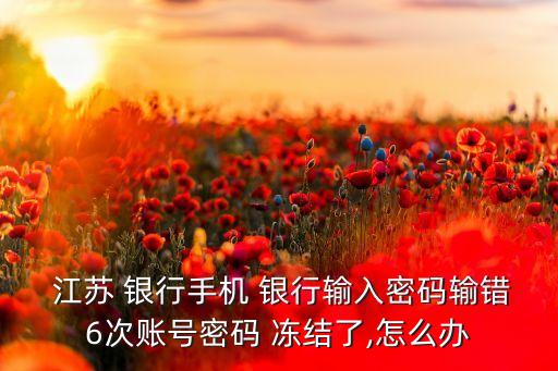  江蘇 銀行手機(jī) 銀行輸入密碼輸錯(cuò)6次賬號密碼 凍結(jié)了,怎么辦