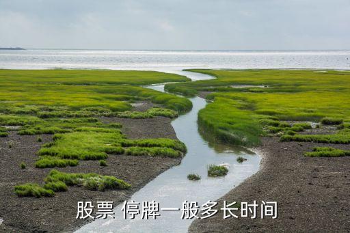 股票 停牌一般多長時(shí)間