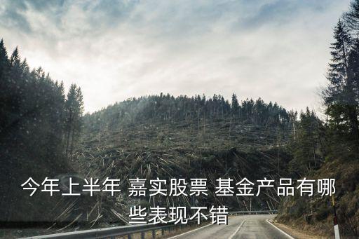 今年上半年 嘉實(shí)股票 基金產(chǎn)品有哪些表現(xiàn)不錯