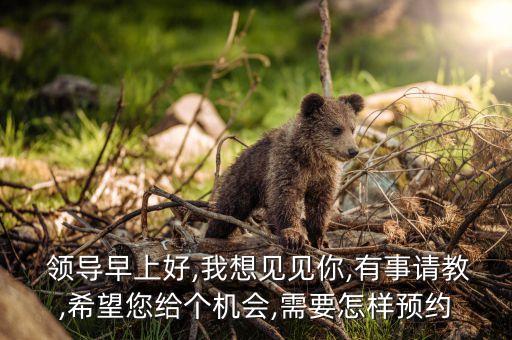  領(lǐng)導(dǎo)早上好,我想見見你,有事請(qǐng)教,希望您給個(gè)機(jī)會(huì),需要怎樣預(yù)約