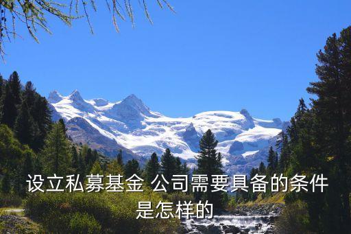  設立私募基金 公司需要具備的條件是怎樣的