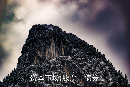 資本市場(chǎng)(股票、債券
