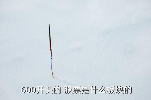  600開(kāi)頭的 股票是什么板塊的