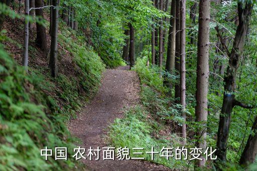 中國30年后農村還會有人住嗎
