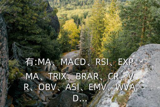 有:MA、MACD、RSI、EXPMA、TRIX、BRAR、CR、VR、OBV、ASI、EMV、WVAD...