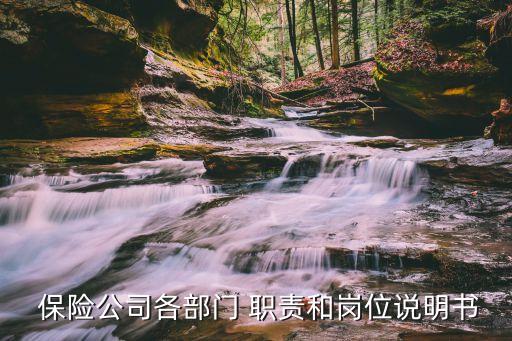  保險公司各部門 職責和崗位說明書