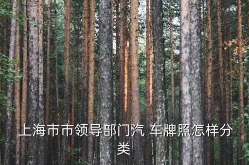  上海市市領(lǐng)導(dǎo)部門(mén)汽 車(chē)牌照怎樣分類(lèi)