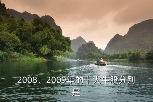 2008、2009年的十大牛股分別是