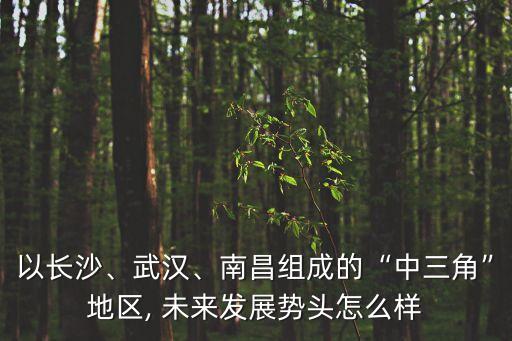 以長沙、武漢、南昌組成的“中三角”地區(qū), 未來發(fā)展勢頭怎么樣