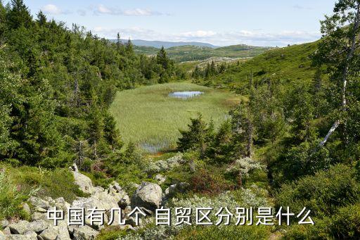 上海自貿區(qū)2