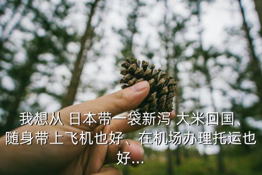 我想從 日本帶一袋新瀉 大米回國、隨身帶上飛機(jī)也好、在機(jī)場辦理托運(yùn)也好...