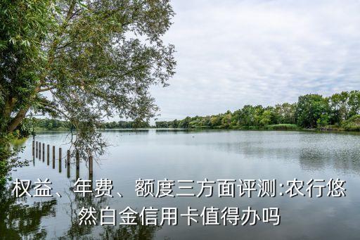 權(quán)益、年費(fèi)、額度三方面評(píng)測(cè):農(nóng)行悠然白金信用卡值得辦嗎