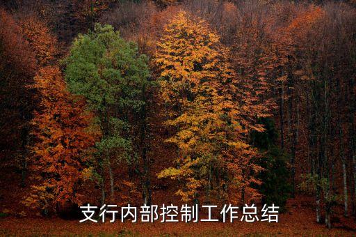  支行內(nèi)部控制工作總結