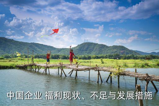 中國(guó)企業(yè) 福利現(xiàn)狀、不足與發(fā)展措施