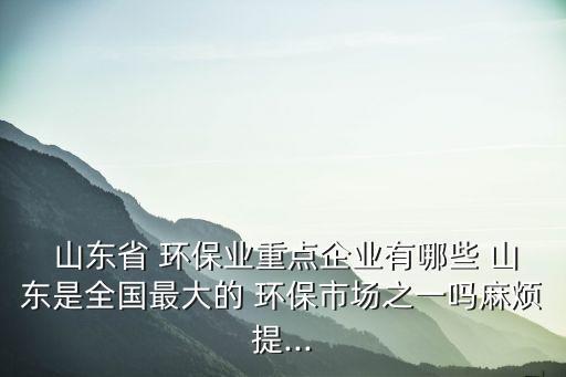 山東魯豐環(huán)?？萍加邢薰?山東綠之能環(huán)保科技有限公司