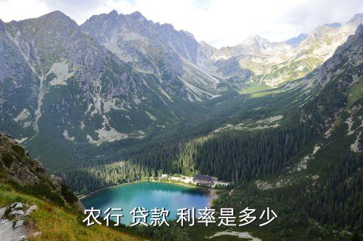 農行 貸款 利率是多少