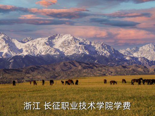 浙江 長(zhǎng)征職業(yè)技術(shù)學(xué)院學(xué)費(fèi)