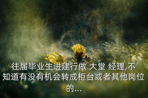 往屆畢業(yè)生進(jìn)建行做 大堂 經(jīng)理,不知道有沒有機會轉(zhuǎn)成柜臺或者其他崗位的...