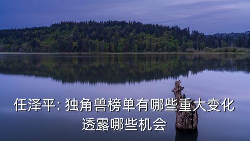 任澤平: 獨(dú)角獸榜單有哪些重大變化透露哪些機(jī)會