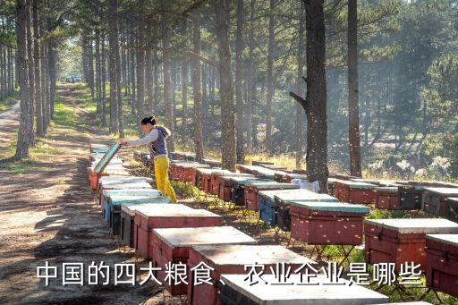 中國(guó)的四大糧食、農(nóng)業(yè)企業(yè)是哪些