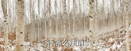 工行怎么注銷(xiāo)卡