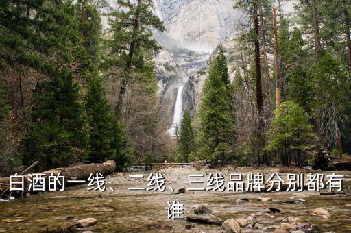 白酒的一線、二線、三線品牌分別都有誰