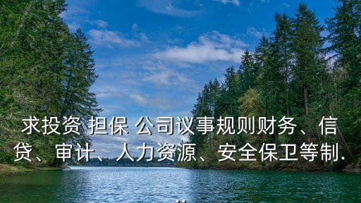 求投資 擔(dān)保 公司議事規(guī)則財務(wù)、信貸、審計、人力資源、安全保衛(wèi)等制...