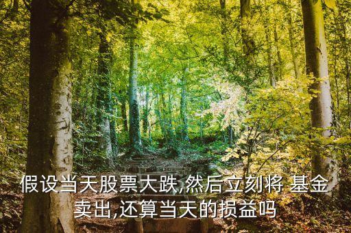 假設(shè)當(dāng)天股票大跌,然后立刻將 基金賣(mài)出,還算當(dāng)天的損益嗎