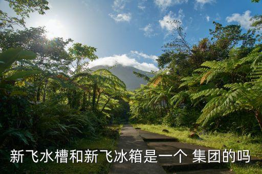 新飛水槽和新飛冰箱是一個 集團(tuán)的嗎