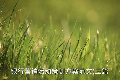 銀行營(yíng)銷(xiāo)活動(dòng)策劃方案范文(三篇