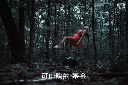 可申購(gòu)的 基金