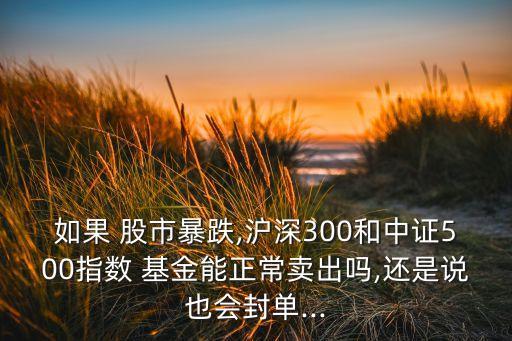 如果 股市暴跌,滬深300和中證500指數(shù) 基金能正常賣(mài)出嗎,還是說(shuō)也會(huì)封單...