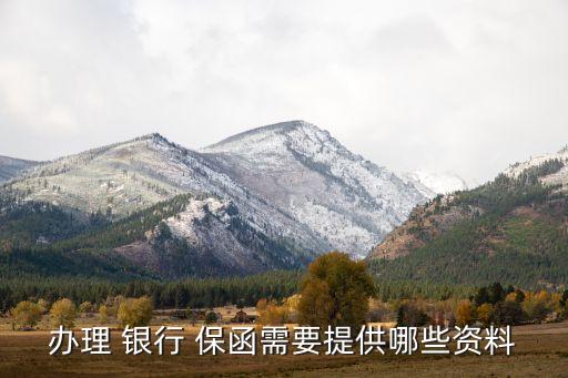 湖南擔保公司銀行履約保函,擔保公司的履約保函是否有效