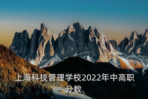  上?？萍脊芾韺W(xué)校2022年中高職分?jǐn)?shù)