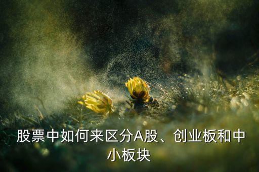  股票中如何來區(qū)分A股、創(chuàng)業(yè)板和中小板塊