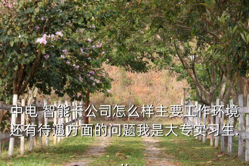中電 智能卡公司怎么樣主要工作環(huán)境還有待遇方面的問題我是大專實(shí)習(xí)生...