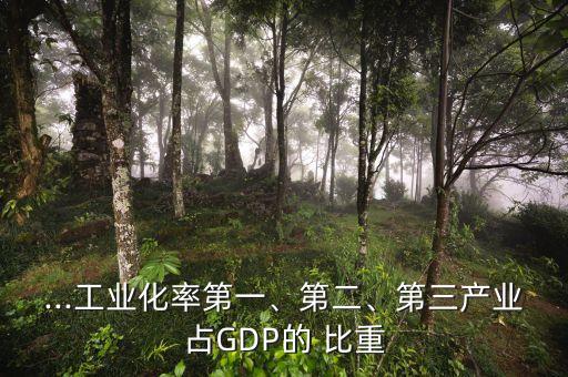 ...工業(yè)化率第一、第二、第三產(chǎn)業(yè)占GDP的 比重