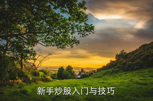 新手炒股入門(mén)與技巧