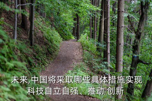  未來,中國將采取哪些具體措施實(shí)現(xiàn)科技自立自強(qiáng)、推動(dòng) 創(chuàng)新