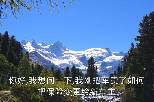 你好,我想問(wèn)一下,我剛把車賣了如何把保險(xiǎn)變更給新車主