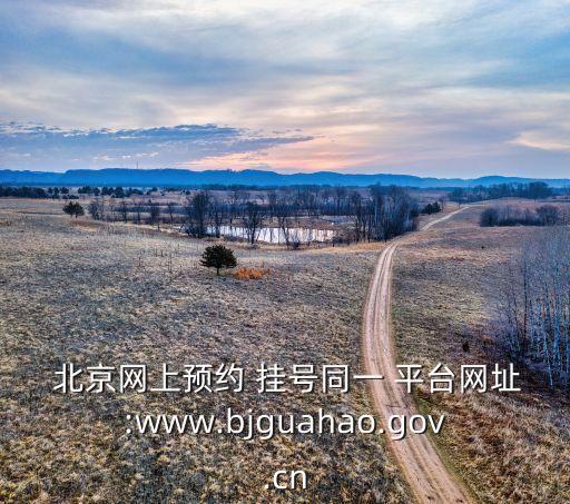  北京網上預約 掛號同一 平臺網址:www.bjguahao.gov.cn