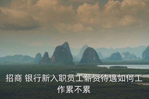 銀行是密薪嗎,密薪代發(fā) 銀行 服務