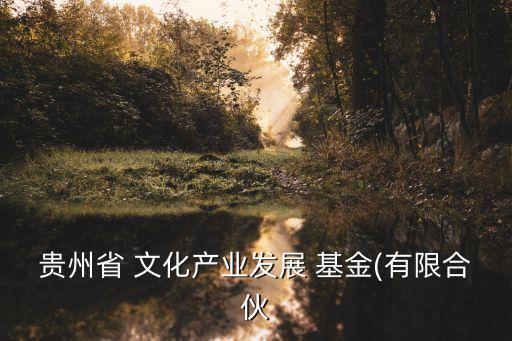 貴州省 文化產業(yè)發(fā)展 基金(有限合伙