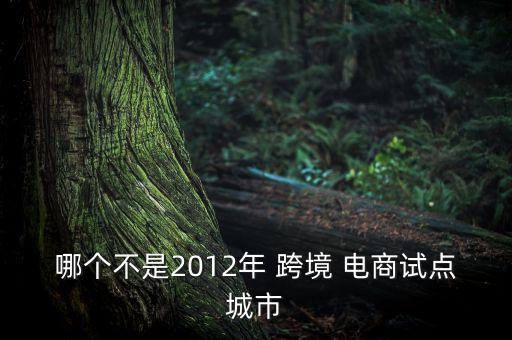 哪個不是2012年 跨境 電商試點(diǎn)城市