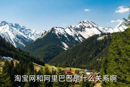  淘寶網和阿里巴巴是什么關系啊